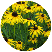 過去の制作事例